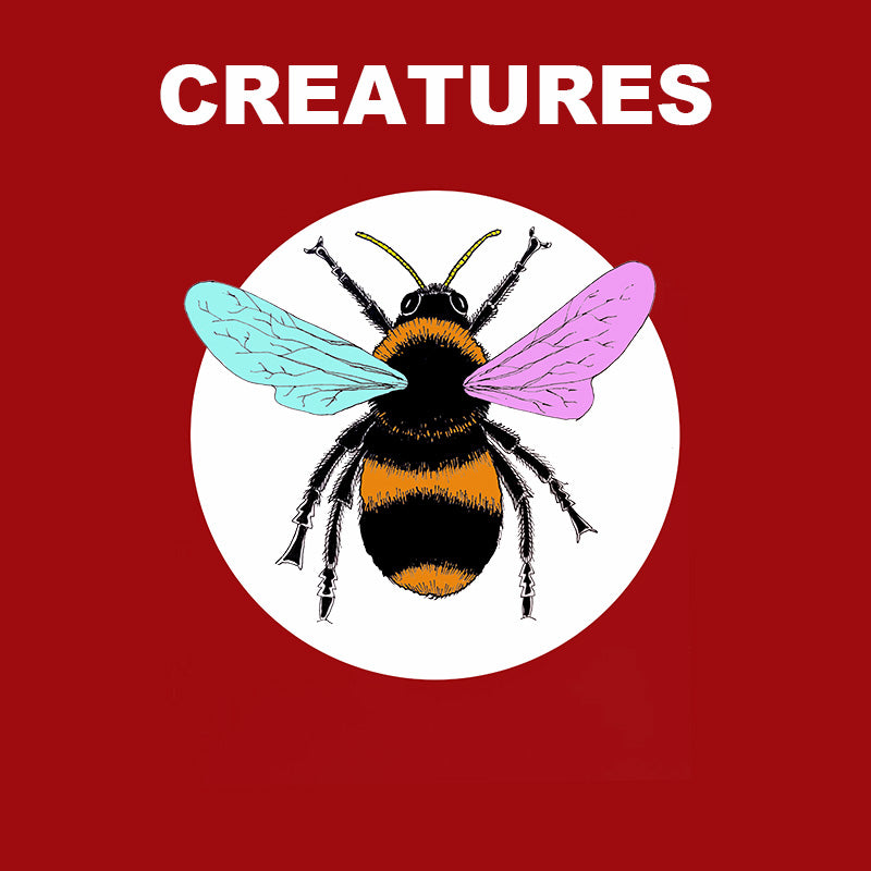 Creatures - The Bee, The Ladybird and The Dragonfly